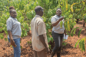 Where Expertise Meets the Coffee Garden